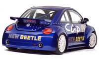 beetle3